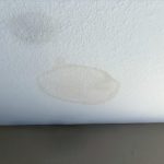 Legacy Home Services, LA